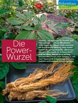 Die Power-Wurzel jetzt im Reforhaus Kurier